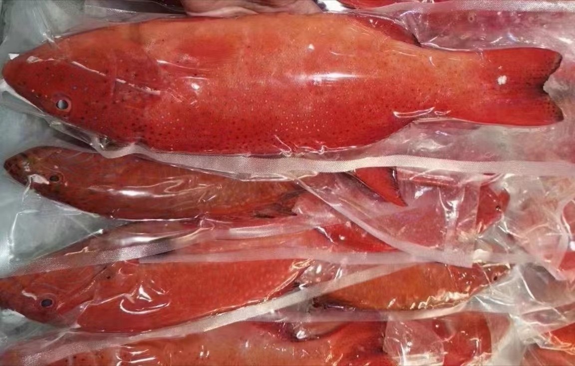 马鲛鱼红色肉的图片图片